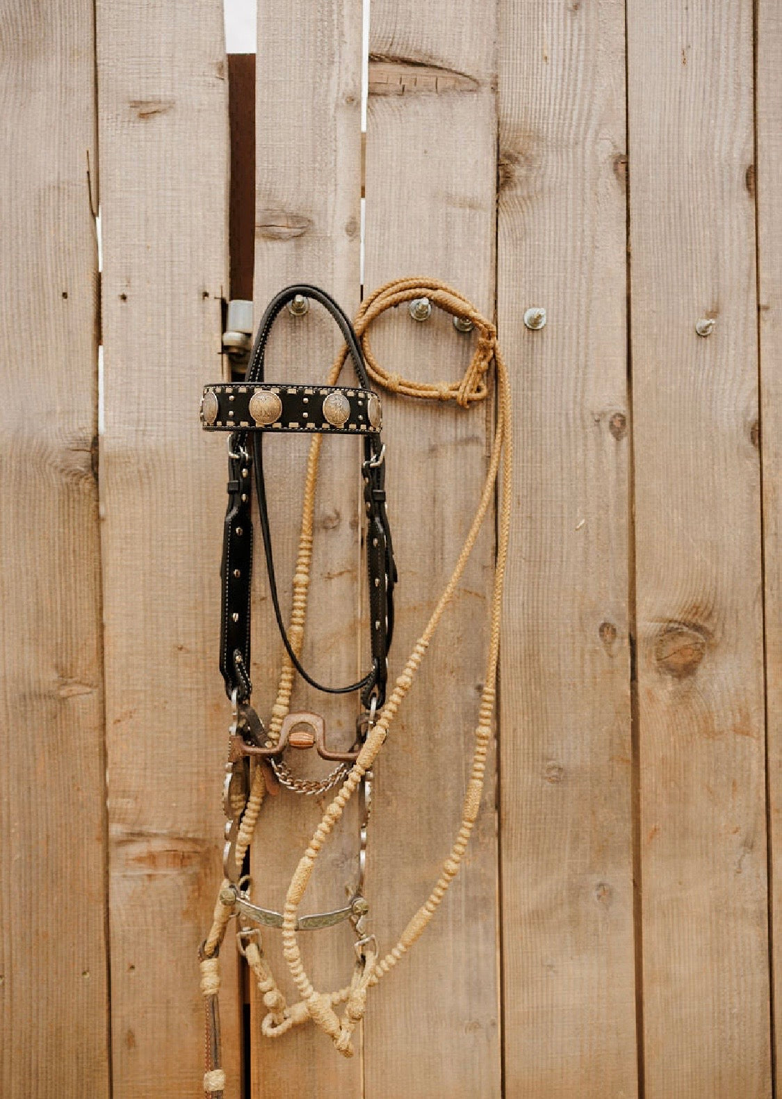 Dinero Headstall
