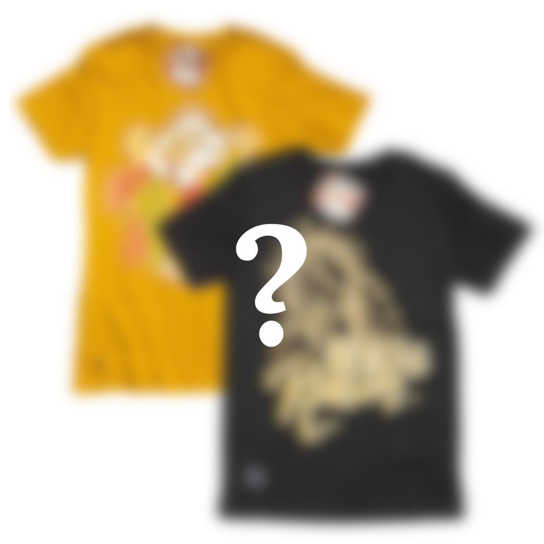 Mystery Tee 2-pack