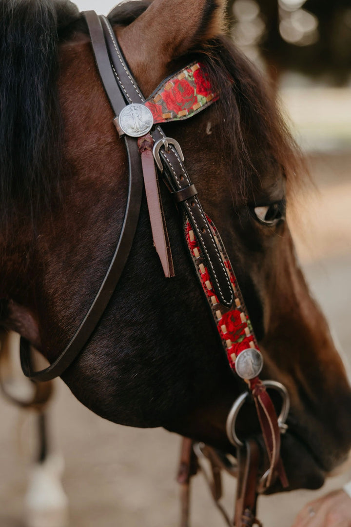Rosita Headstall