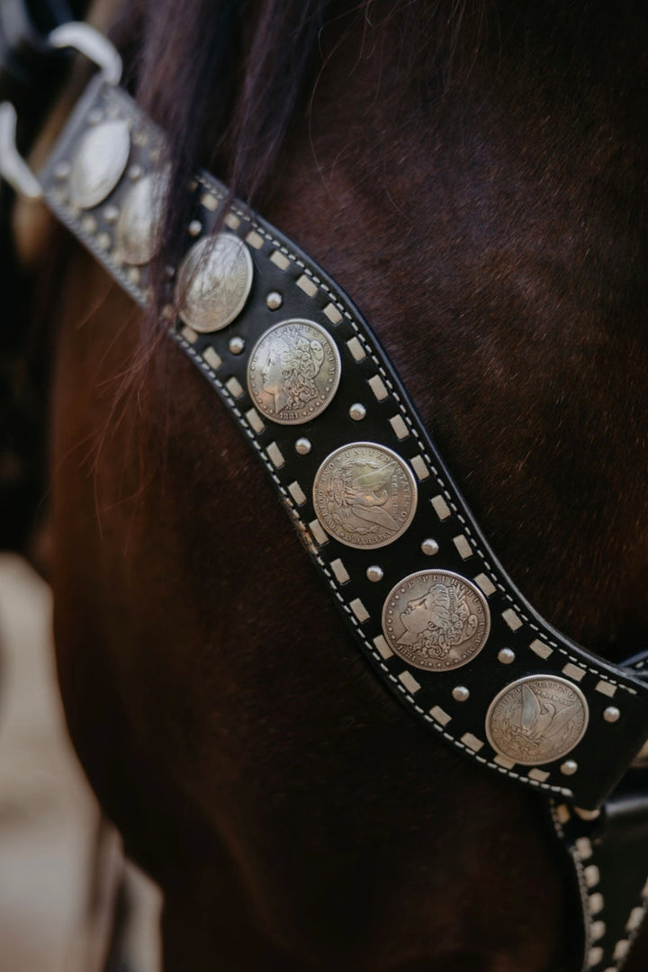 Dinero Breastcollar