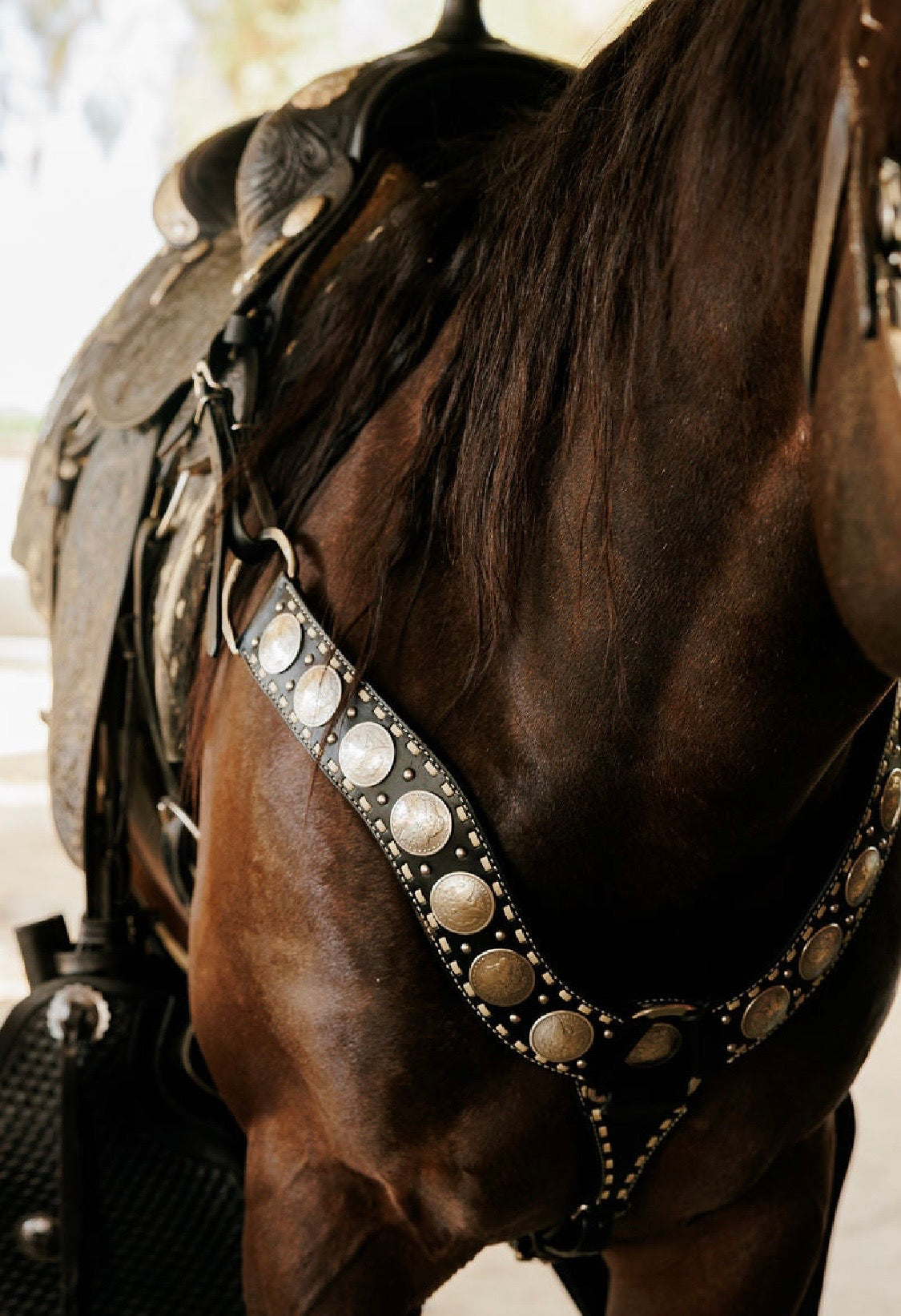 Dinero Breast Collar