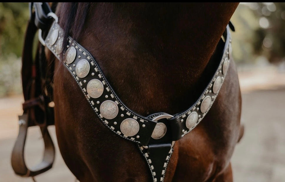 Dinero Breast Collar