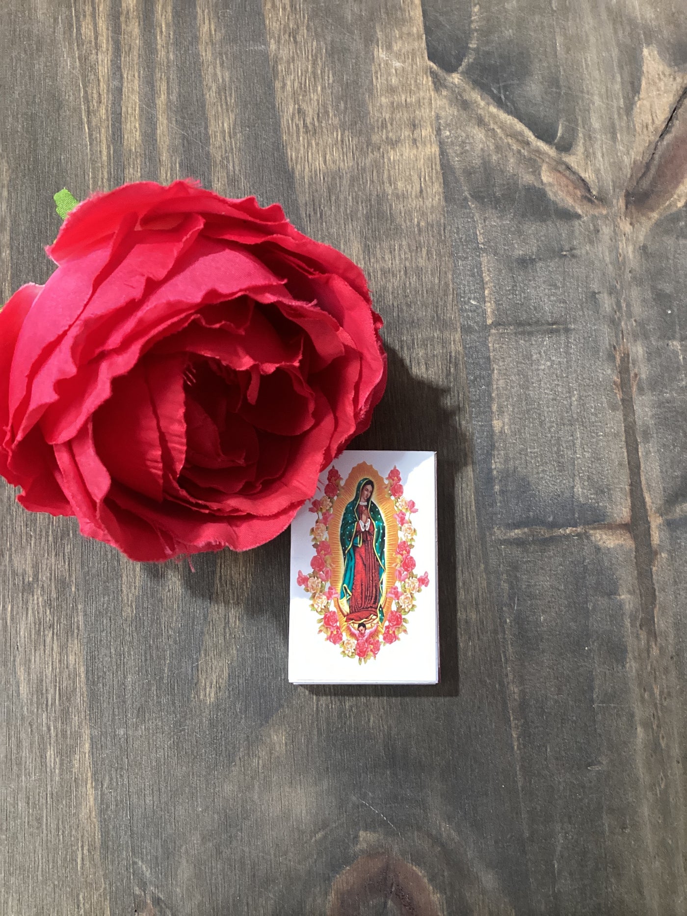 Lady Guadalupe Matches