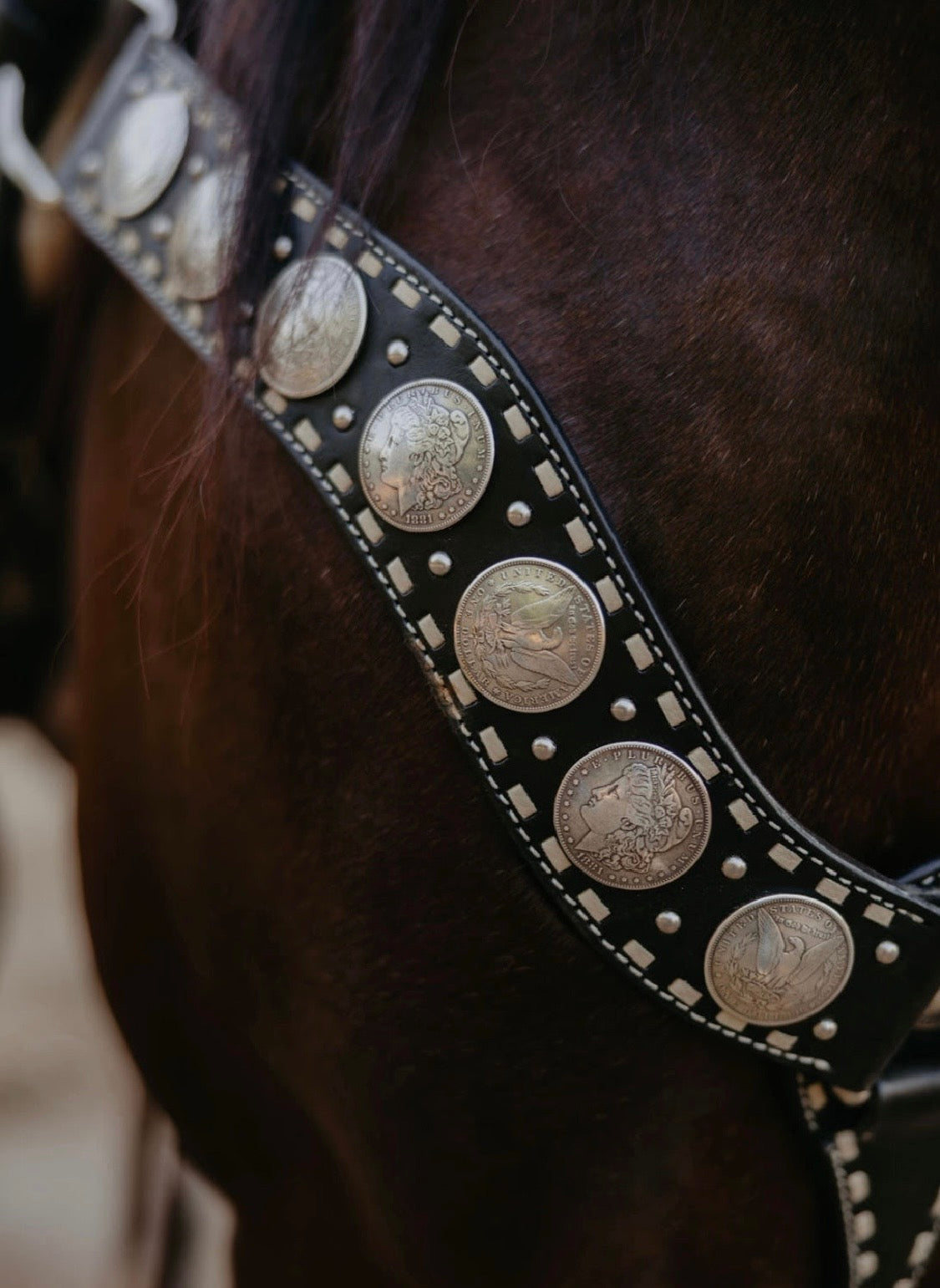 Dinero Breast Collar