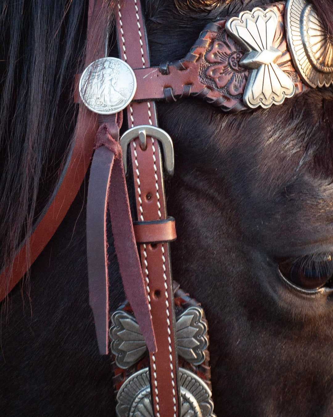 Elko Headstall