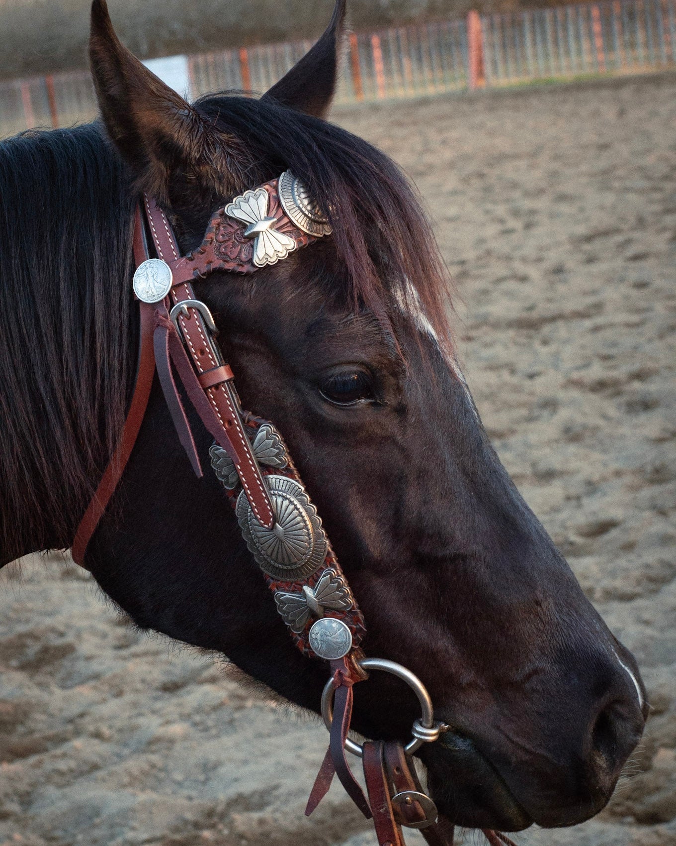 Elko Headstall
