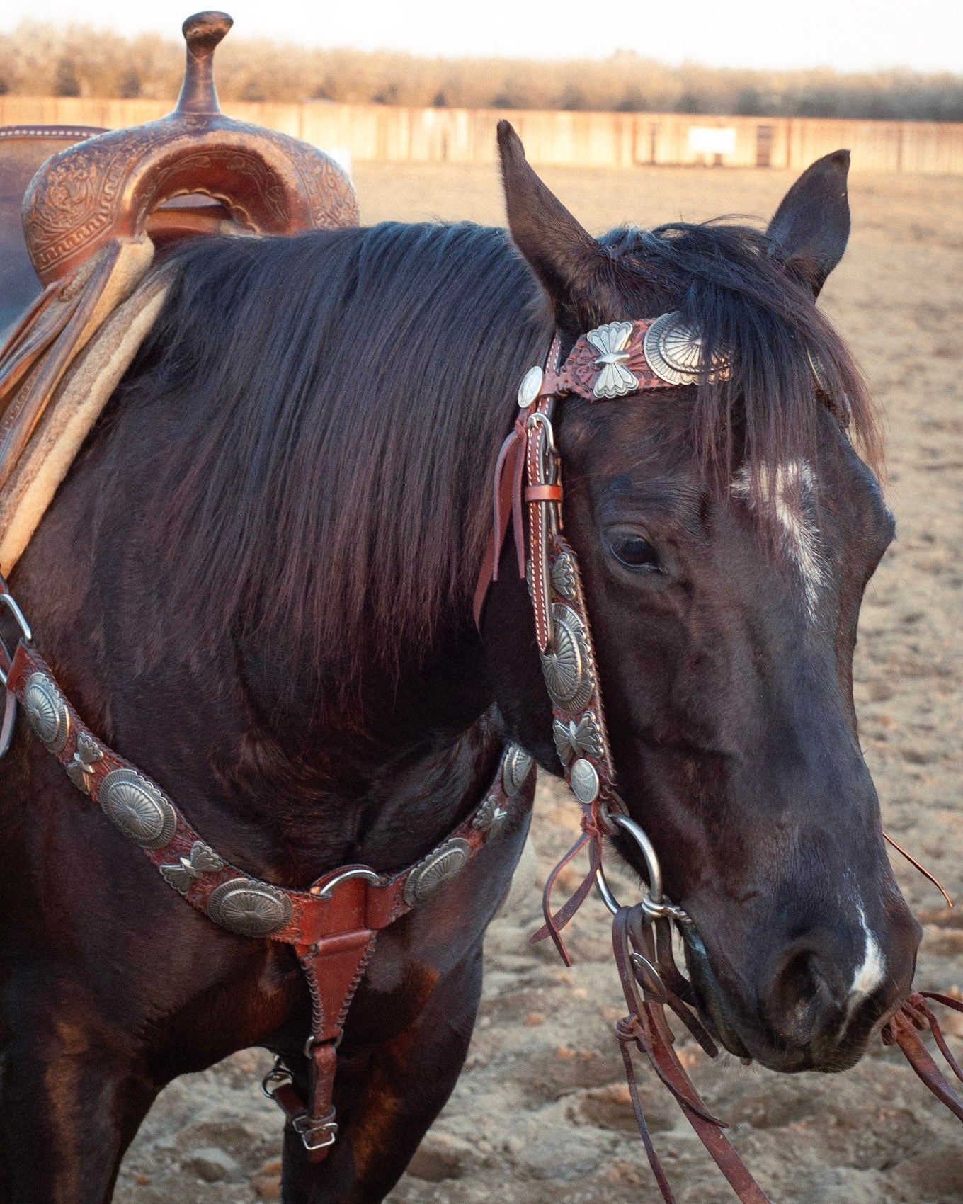 Elko Breastcollar