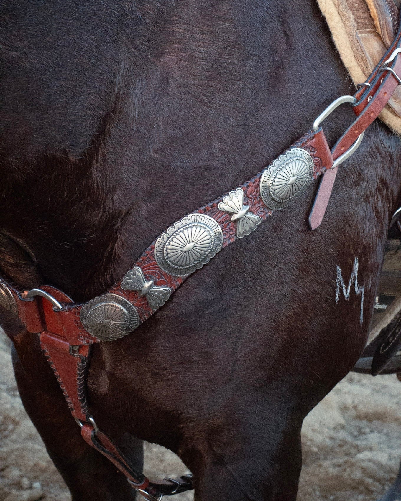 Elko Breastcollar