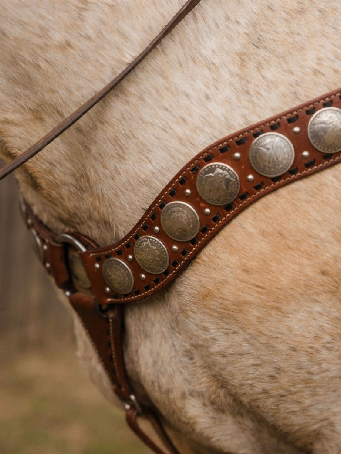 Dinero Breast Collar