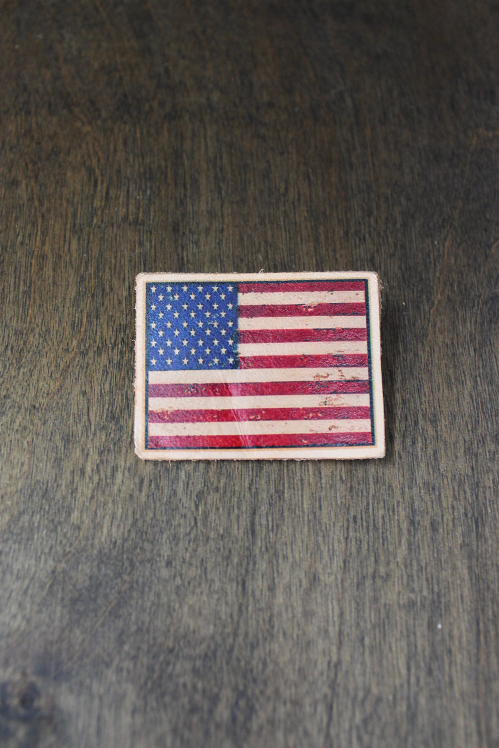 American Symbols Pin