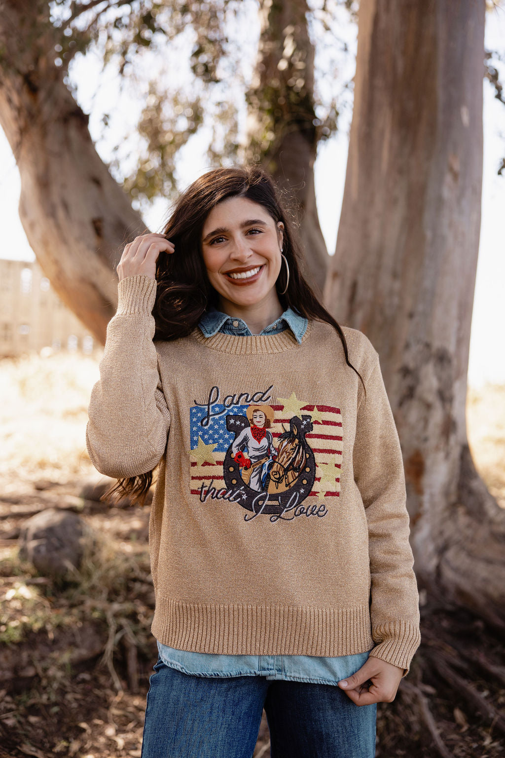 American Rodeo Sweater