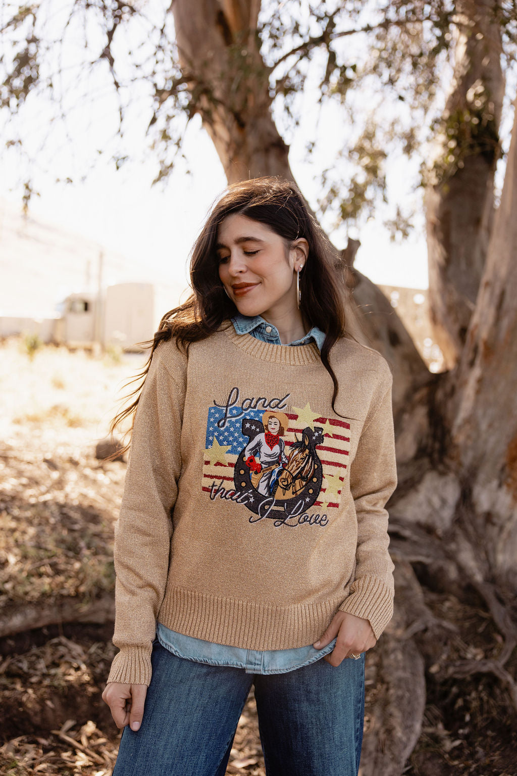 American Rodeo Sweater