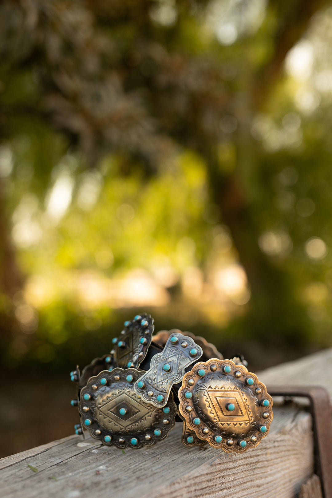 The Rodeo Drive Belt