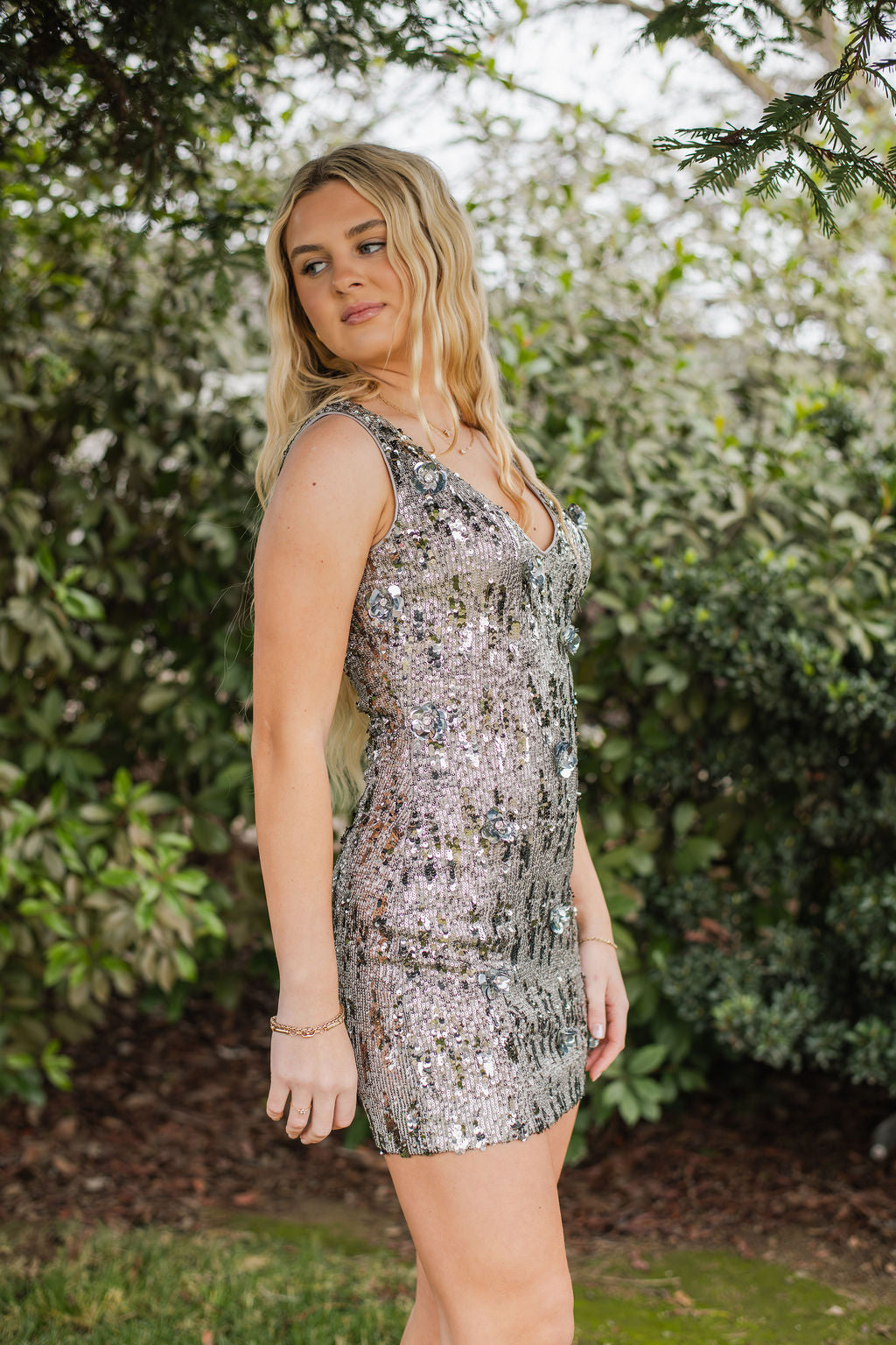 Silver Garden Dress