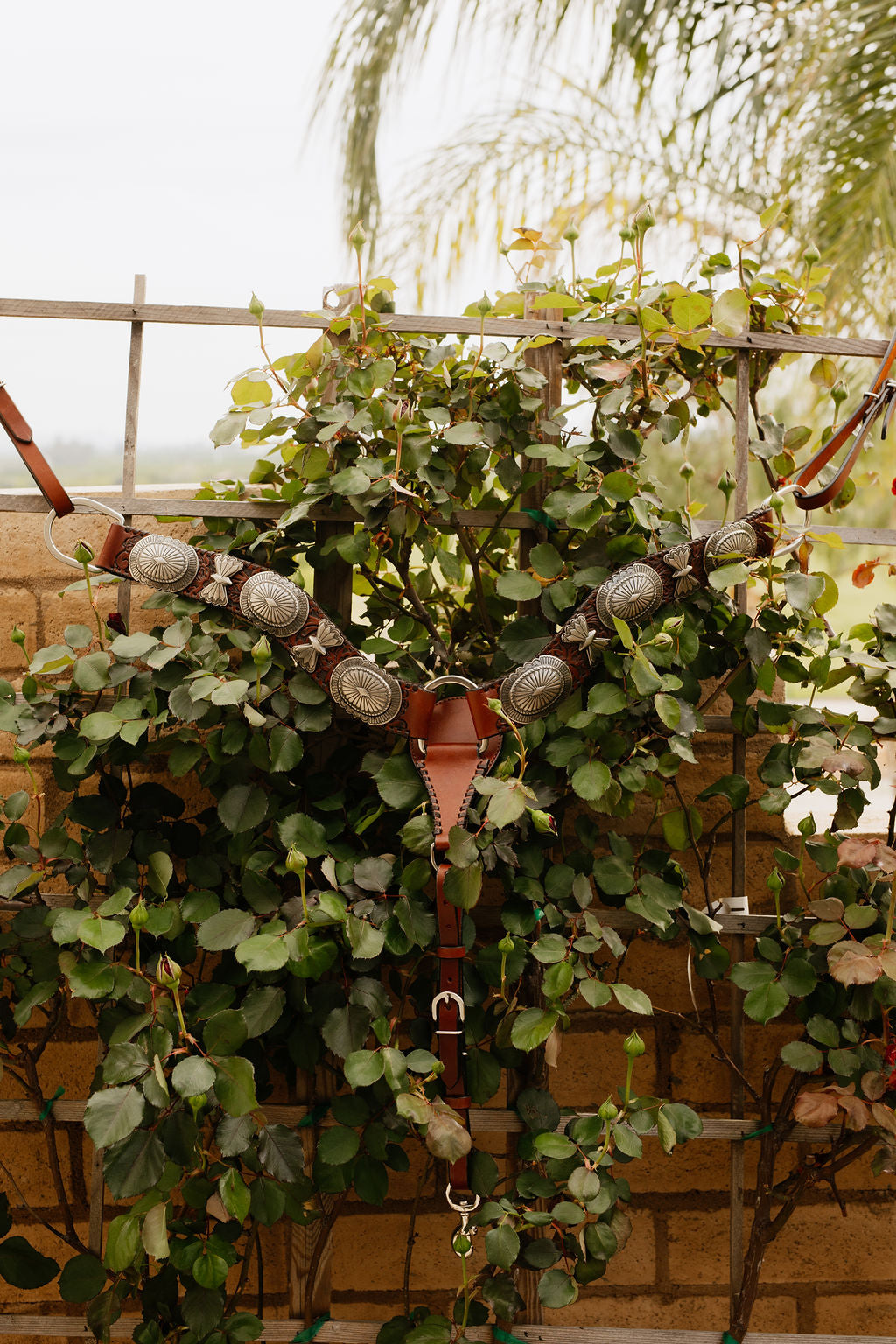 Elko Breastcollar