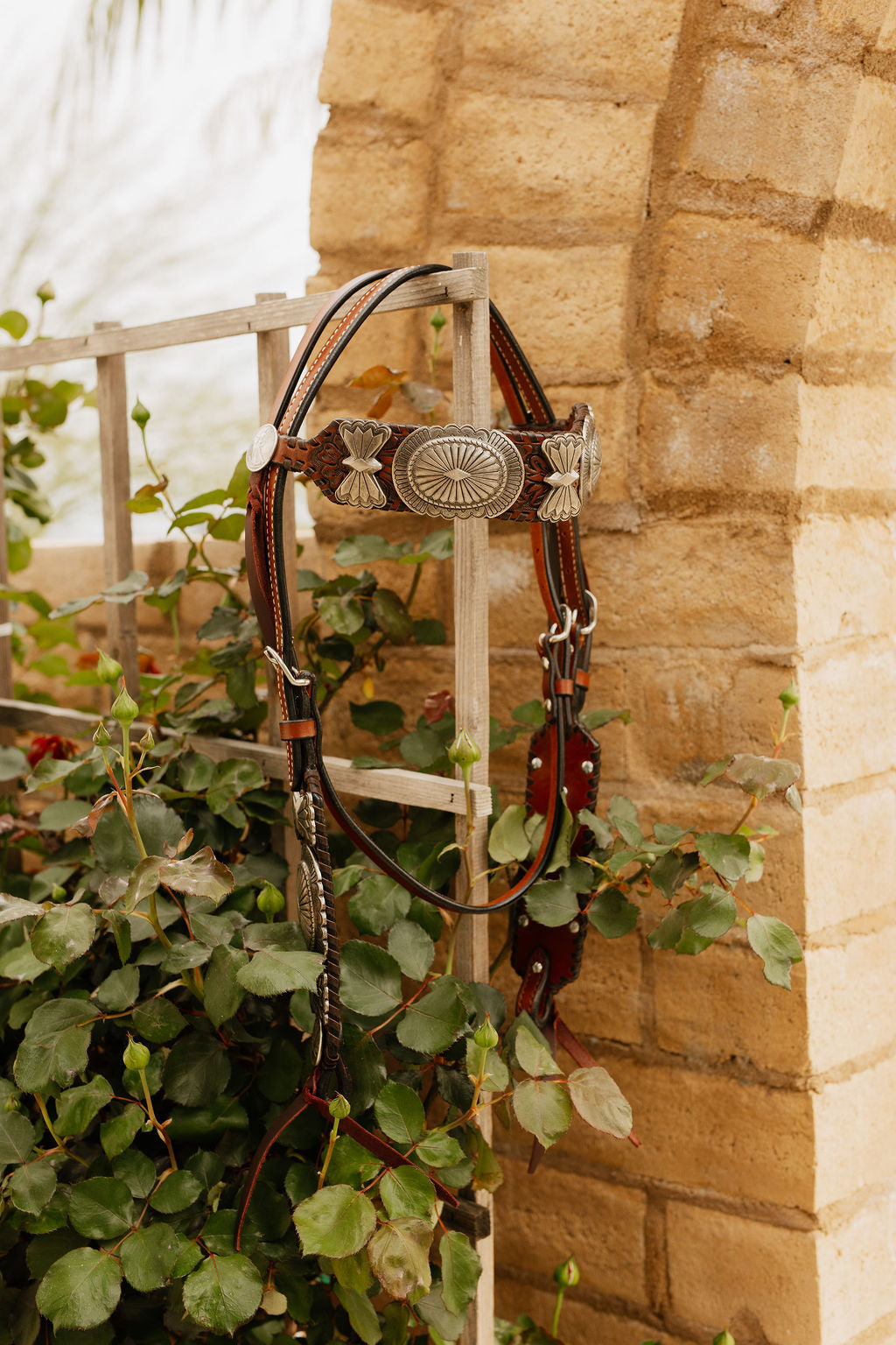 Elko Headstall