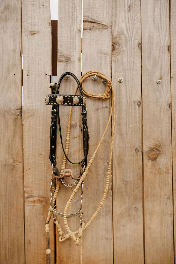 Dinero Headstall