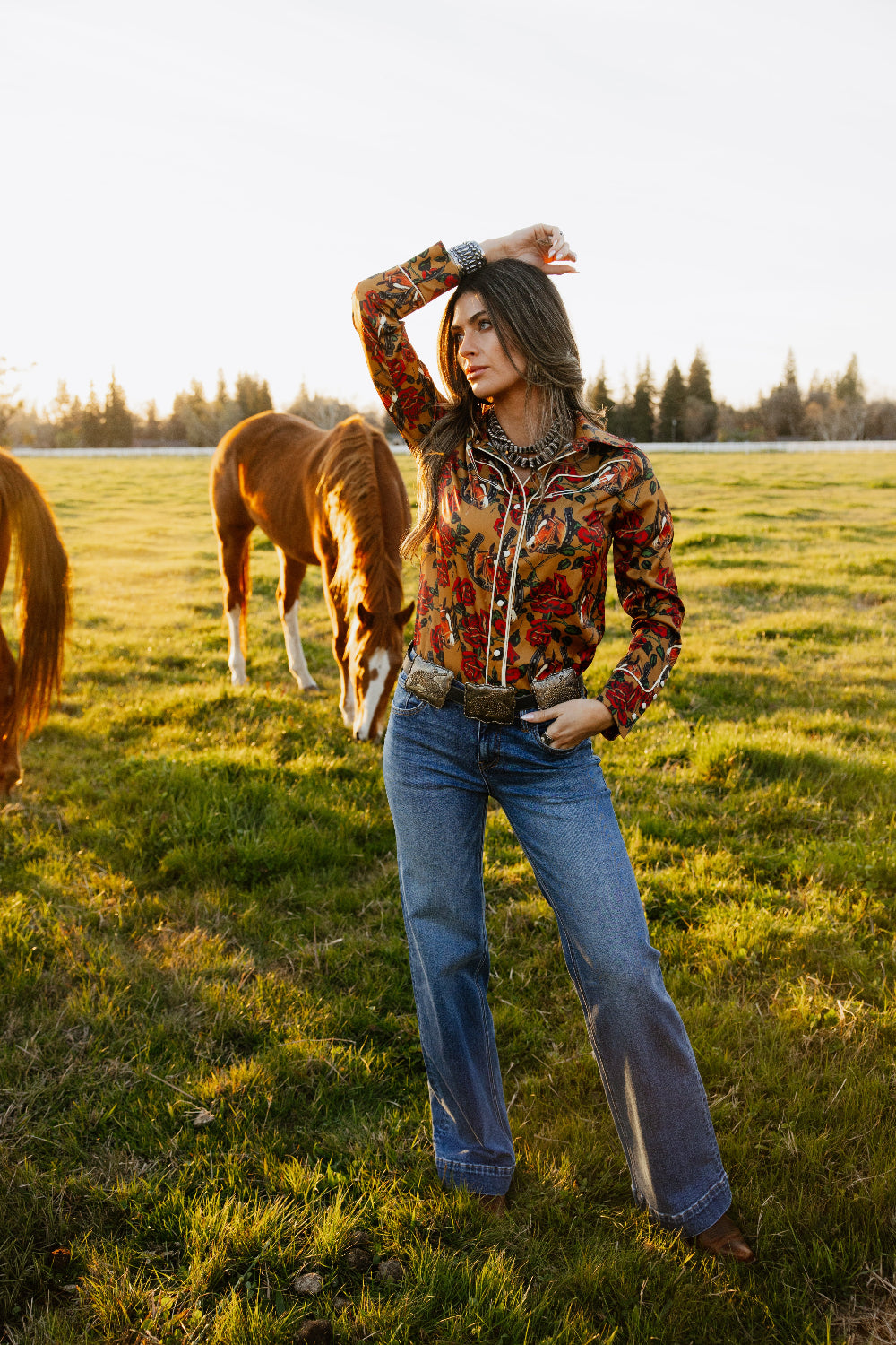 Horses & Horseshoes Button Up