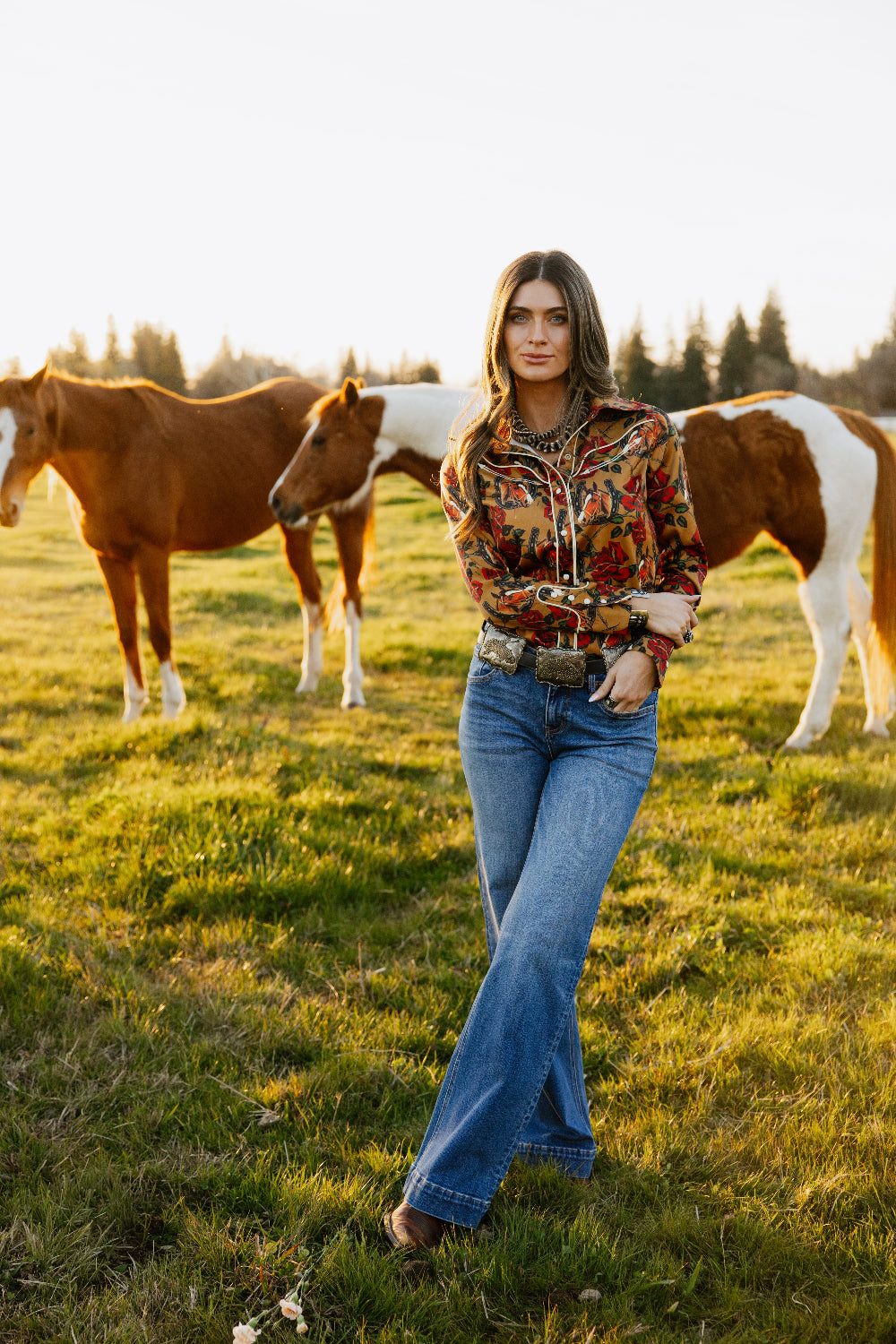 Horses & Horseshoes Button Up